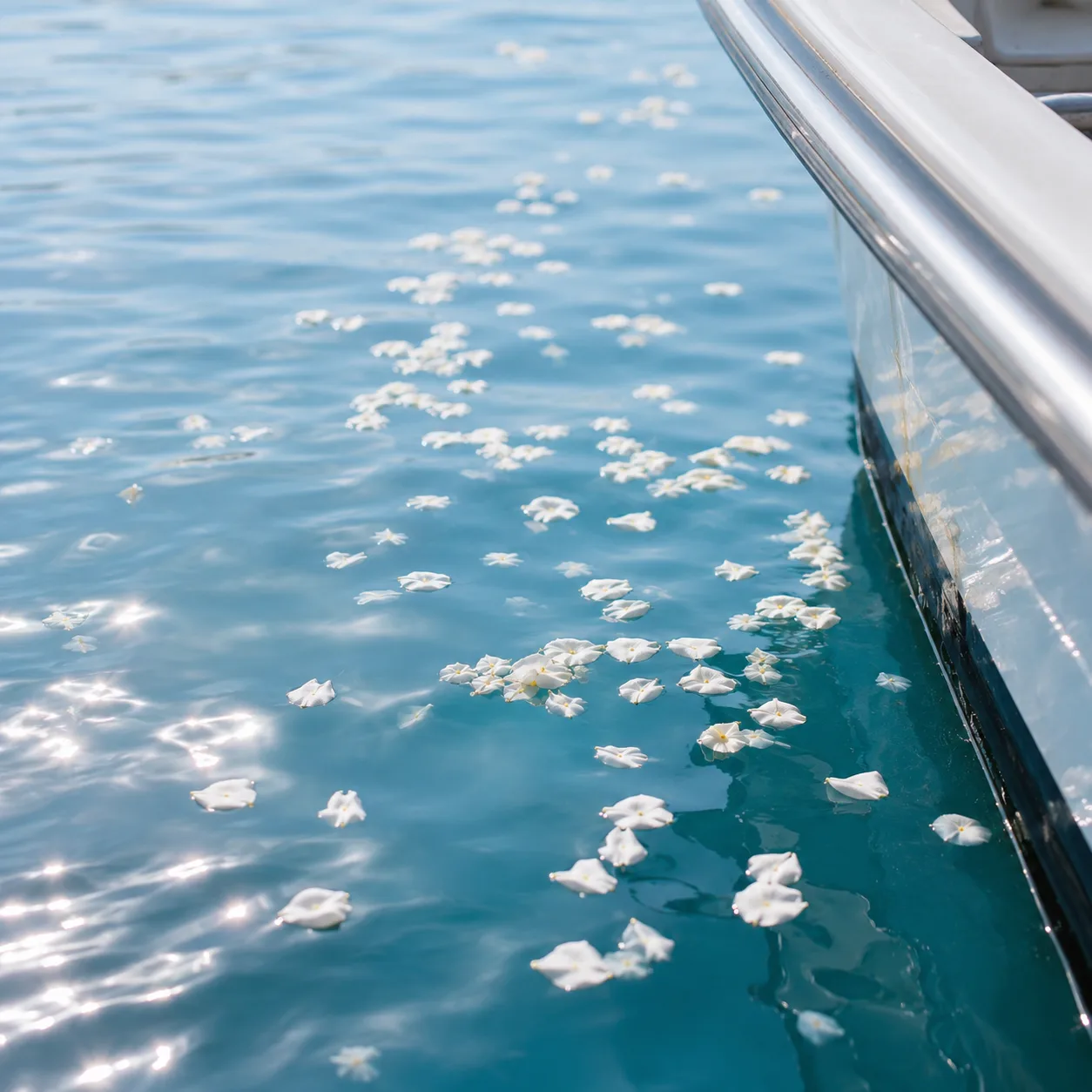 船のそばの海面に浮かぶ白い花