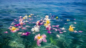 透明な海に浮かぶ花